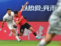 爱游戏官网-成都蓉城夏季引援目标